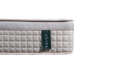 Prime Lime - Mundo Bedding